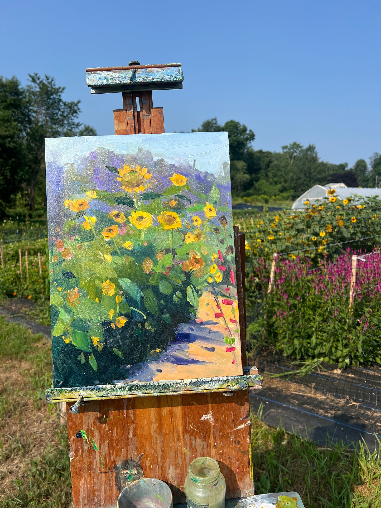 Plein Air Flower Painting with Amy Brnger at Nooney Farm, Kittery, Maine August 23, 9:00-1:00 pm