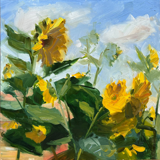 Late Afternoon Sunflowers, 12" x 12" x 1/8"  Original Oil Painting, unframed