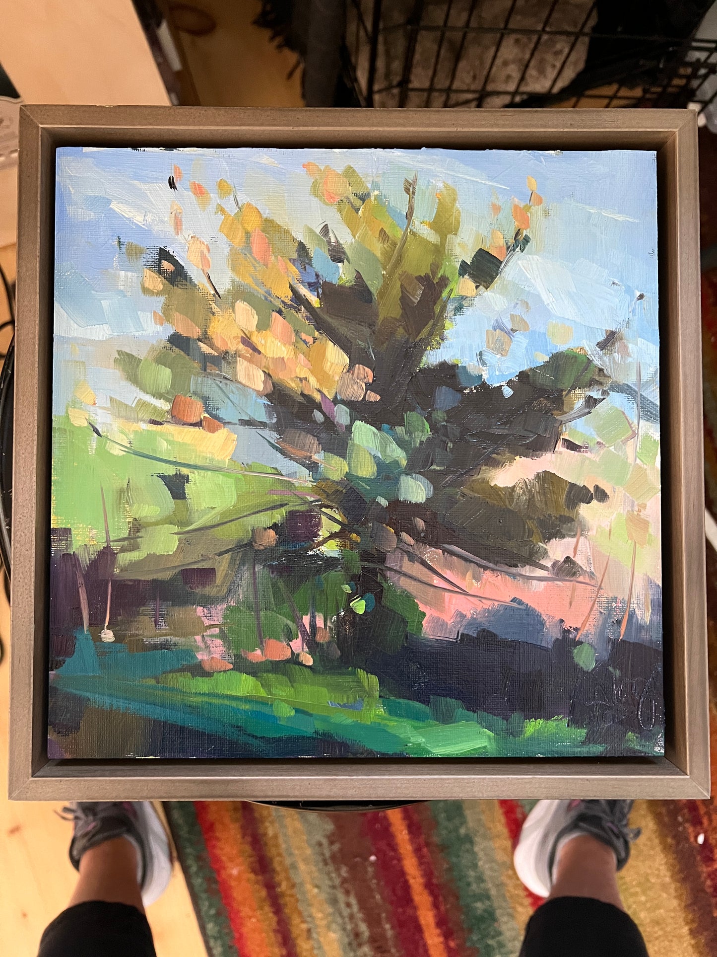 Pine Tree in the Morning, 10" x 10" Original Oil Painting, Framed