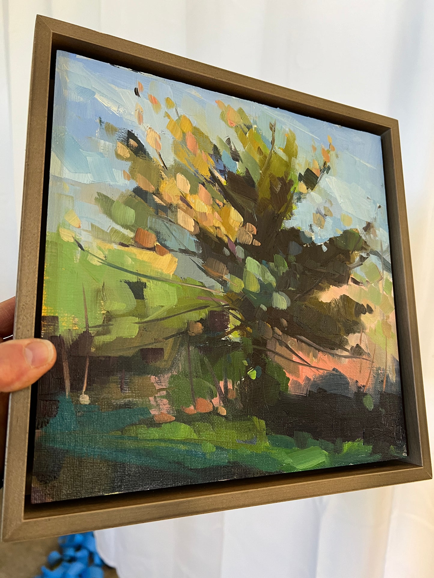 Pine Tree in the Morning, 10" x 10" Original Oil Painting, Framed