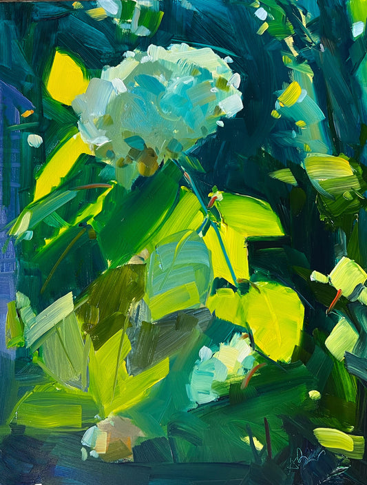 NEW! Hydrangeas in the Garden, giclee print, unframed